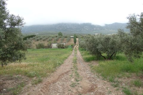 Helårsgrund i Antequera, Malaga, Antequera - € 29.000 | Ref: EXP14169/8930 - foto 20