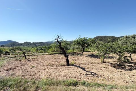 Landejendom i Relleu, Alicante, Relleu - € 440.000 | Ref: EXP14173/8930 - foto 24