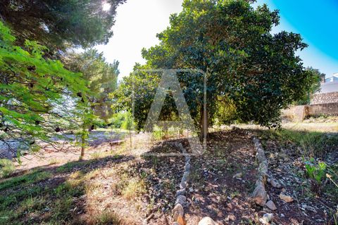 Villa i Moraira, Alicante, Moraira - € 1.950.000 | Ref: VMR0274 - foto 15