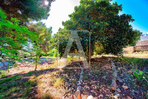 Villa i Moraira, Alicante, Moraira - € 2 495 000 | Ref: VMR0274 - foto 7