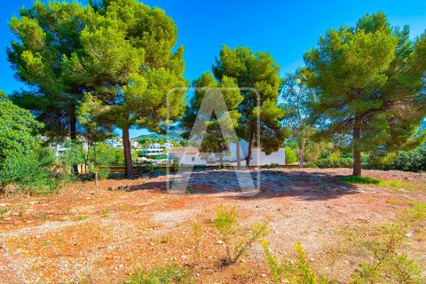 Villa i Moraira, Alicante, Moraira - € 2 495 000 | Ref: VMR0274 - foto 9