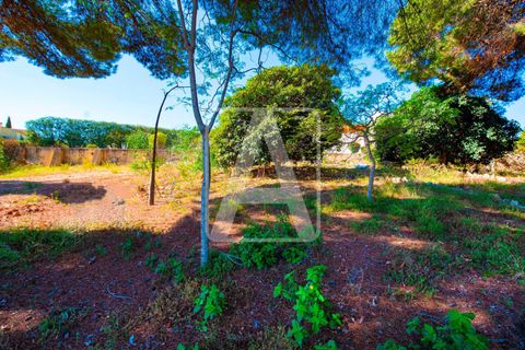Villa i Moraira, Alicante, Moraira - € 2 495 000 | Ref: VMR0274 - foto 15