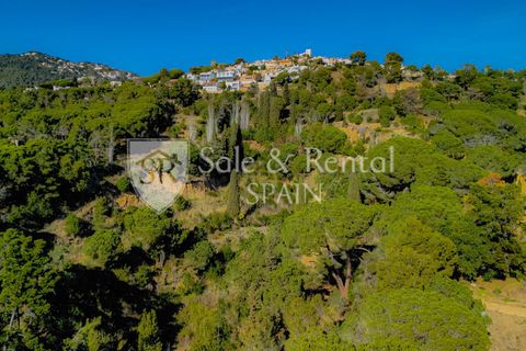 Villa i Lloret De Mar, Gerona, Lloret De Mar - € 6.500.000 | Ref: 2549 - foto 36