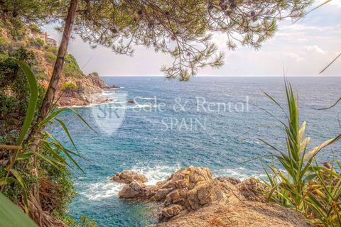 Villa i Lloret De Mar, Gerona, Lloret De Mar - € 6.500.000 | Ref: 2549 - foto 38