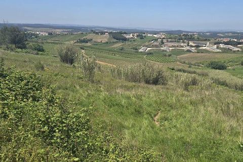 Terra a Cadaval, Lisbon, Cadaval - € 15.000 | Ref: 887513 - foto 2