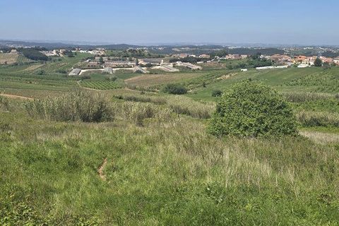 Terra a Cadaval, Lisbon, Cadaval - € 15.000 | Ref: 887513 - foto 3
