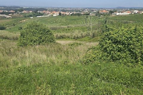 Terra a Cadaval, Lisbon, Cadaval - € 15.000 | Ref: 887513 - foto 4
