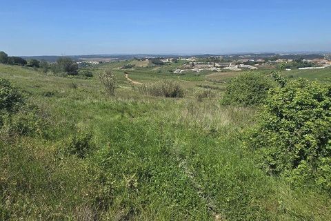 Terra a Cadaval, Lisbon, Cadaval - € 15.000 | Ref: 887513 - foto 5