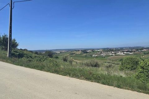 Terra a Cadaval, Lisbon, Cadaval - € 15.000 | Ref: 887513 - foto 6