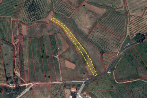 Terra a Cadaval, Lisbon, Cadaval - € 15.000 | Ref: 887513 - foto 7