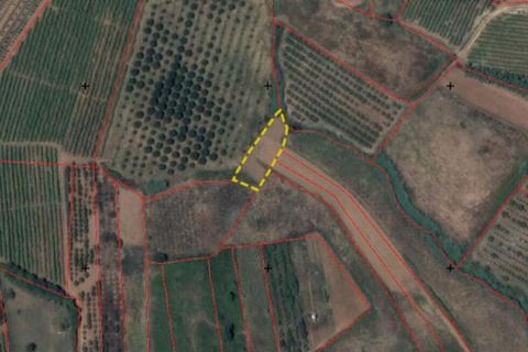 Terra a Cadaval, Lisbon, Cadaval - € 15.000 | Ref: 887513 - foto 8