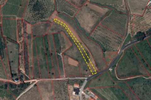 Terra a Cadaval, Lisbon, Cadaval - € 15.000 | Ref: 887513 - foto 9