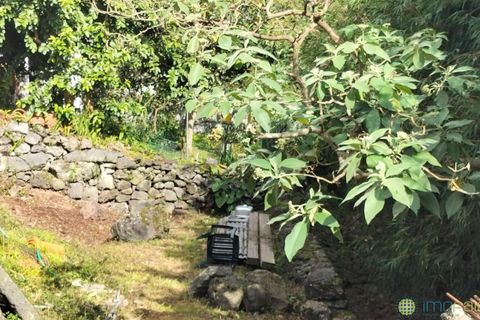 Byhus i Horta, Faial, Horta - € 250.000 | Ref: 1144 - foto 19
