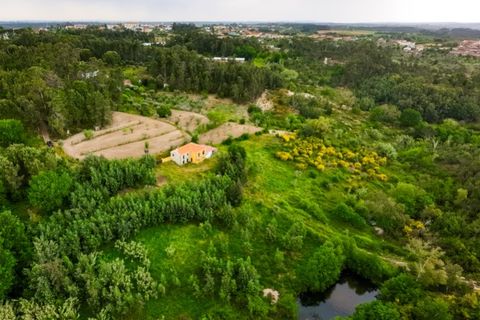 Villa i Carregal do Sal, Viseu, Carregal do Sal - € 280.000 | Ref: CBRMG_6299 - foto 22