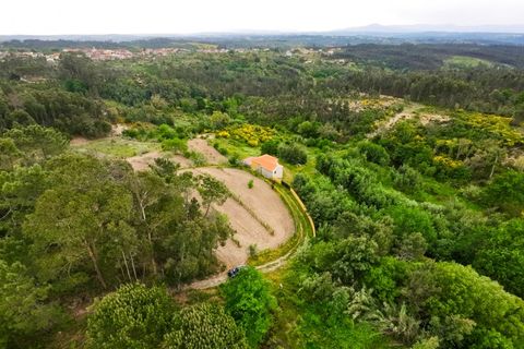 Villa i Carregal do Sal, Viseu, Carregal do Sal - € 280.000 | Ref: CBRMG_6299 - foto 25