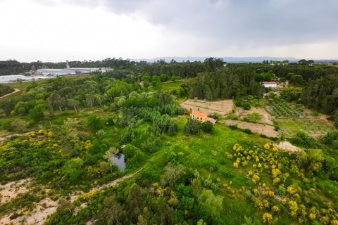 Villa i Carregal do Sal, Viseu, Carregal do Sal - € 280.000 | Ref: CBRMG_6299 - foto 26