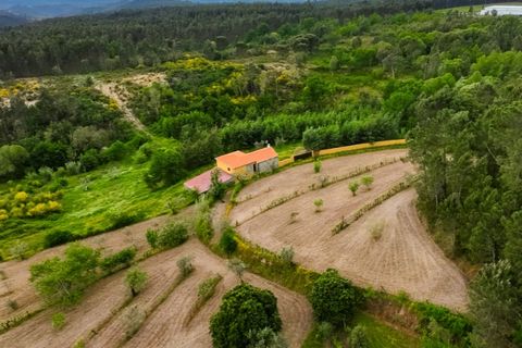 Villa i Carregal do Sal, Viseu, Carregal do Sal - € 280.000 | Ref: CBRMG_6299 - foto 27
