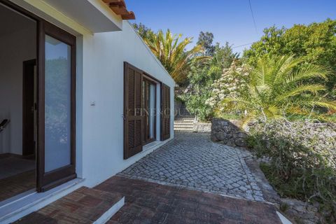 Villa i Monchique, Faro, Monchique - € 745.000 | Ref: FC1106VCZ - foto 31
