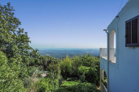 Villa i Monchique, Faro, Monchique - € 745.000 | Ref: FC1106VCZ - foto 34