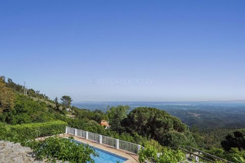 Villa i Monchique, Faro, Monchique - € 745.000 | Ref: FC1106VCZ - foto 35