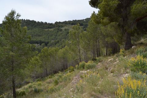 Terra a Guadalest, Alicante, Guadalest - € 18.000 | Ref: 6417 - foto 2