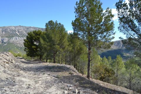 Terra a Guadalest, Alicante, Guadalest - € 18.000 | Ref: 6417 - foto 3