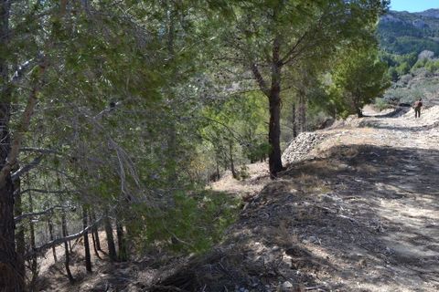 Terra a Guadalest, Alicante, Guadalest - € 18.000 | Ref: 6417 - foto 4