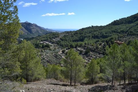 Terra a Guadalest, Alicante, Guadalest - € 18.000 | Ref: 6417 - foto 5