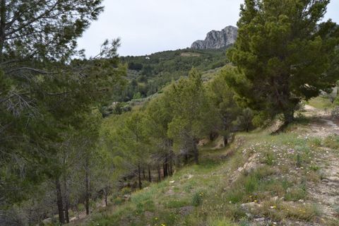 Terra a Guadalest, Alicante, Guadalest - € 18.000 | Ref: 6417 - foto 7