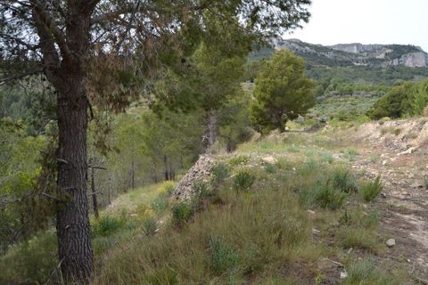 Terra a Guadalest, Alicante, Guadalest - € 18.000 | Ref: 6417 - foto 8