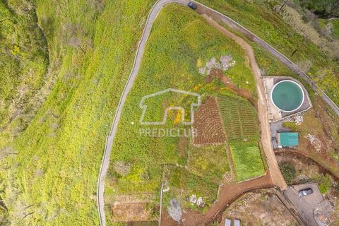 Helårsgrund i Calheta, Madeira, Calheta - € 450.000 | Ref: 11677-MV - foto 2