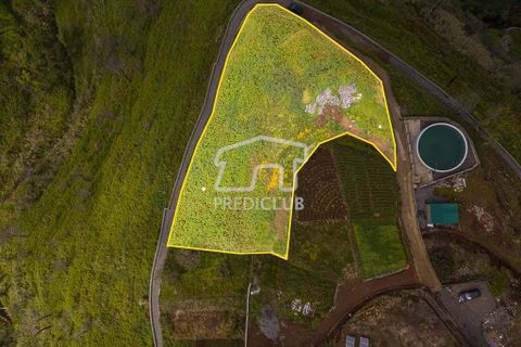 Helårsgrund i Calheta, Madeira, Calheta - € 450.000 | Ref: 11677-MV - foto 3