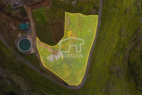 Helårsgrund i Calheta, Madeira, Calheta - € 450.000 | Ref: 11677-MV - foto 5