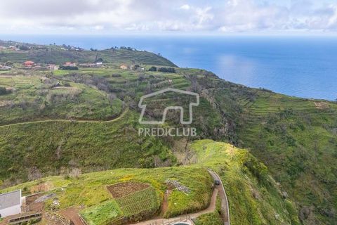 Helårsgrund i Calheta, Madeira, Calheta - € 450.000 | Ref: 11677-MV - foto 8