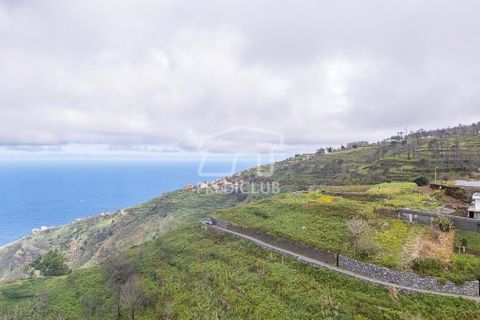 Helårsgrund i Calheta, Madeira, Calheta - € 450.000 | Ref: 11677-MV - foto 13