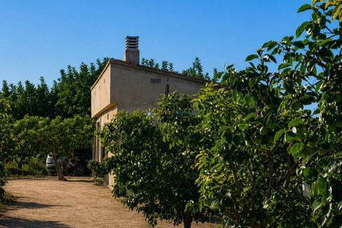 Terra a Albaida, Valencia, Albaida - € 100.000 | Ref: PNPT258 - foto 1