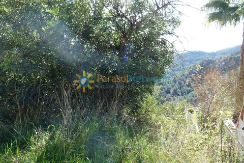 Helårsgrund i Oliva, Valencia, Oliva - € 77.000 | Ref: PNPT181 - foto 3