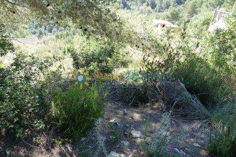 Helårsgrund i Oliva, Valencia, Oliva - € 77.000 | Ref: PNPT181 - foto 2