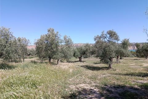 Finca i Freila, Granada, Freila - € 370.000 | Ref: 298 - foto 28