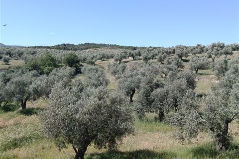 Finca i Freila, Granada, Freila - € 370.000 | Ref: 298 - foto 9