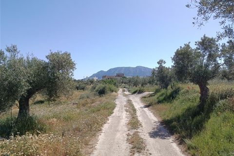 Finca i Freila, Granada, Freila - € 370.000 | Ref: 298 - foto 11