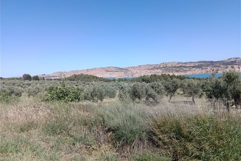 Finca i Freila, Granada, Freila - € 370.000 | Ref: 298 - foto 23
