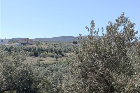 Finca i Freila, Granada, Freila - € 370.000 | Ref: 298 - foto 8