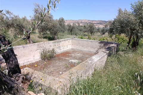 Finca i Freila, Granada, Freila - € 370.000 | Ref: 298 - foto 38