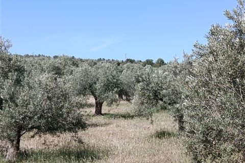 Finca i Freila, Granada, Freila - € 370.000 | Ref: 298 - foto 14
