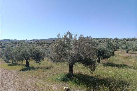 Finca i Freila, Granada, Freila - € 370.000 | Ref: 298 - foto 10