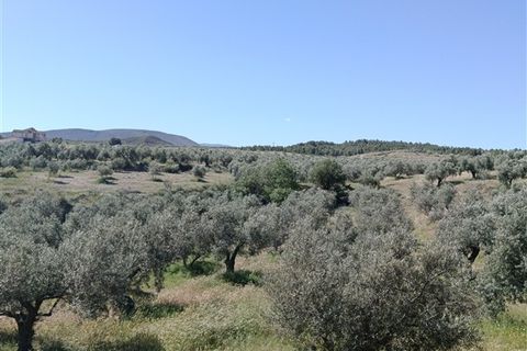 Finca i Freila, Granada, Freila - € 370.000 | Ref: 298 - foto 15