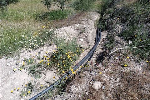 Finca i Freila, Granada, Freila - € 370.000 | Ref: 298 - foto 24