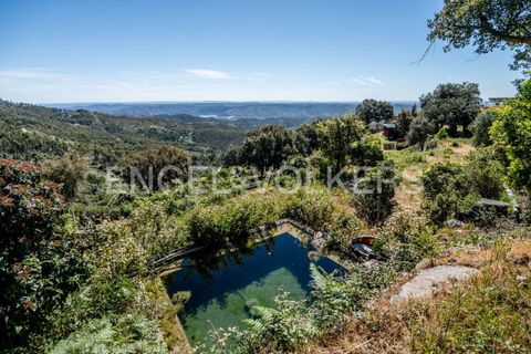 Villa i Monchique, Faro, Monchique - € 850.000 | Ref: W-049KWX - foto 3
