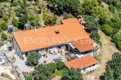 Villa i Monchique, Faro, Monchique - € 850.000 | Ref: W-049KWX - foto 26